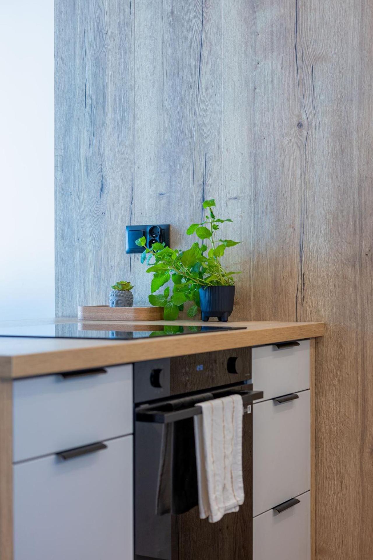Vip Apartament Kopisto Centrum เชชูฟ ภายนอก รูปภาพ